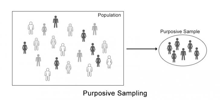 purposive sampling figure